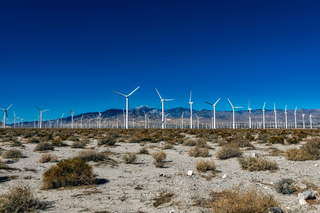 Parque eólico en el desierto