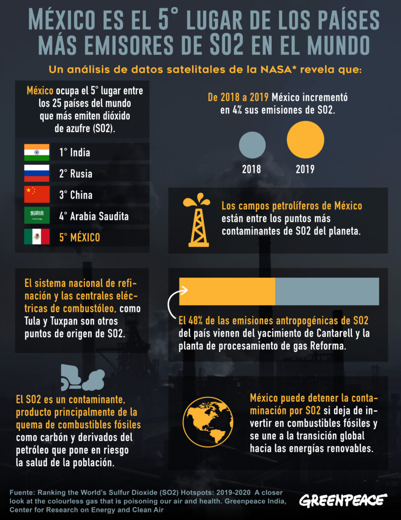 En la imagen, infografía elaborada por Greenpeace.