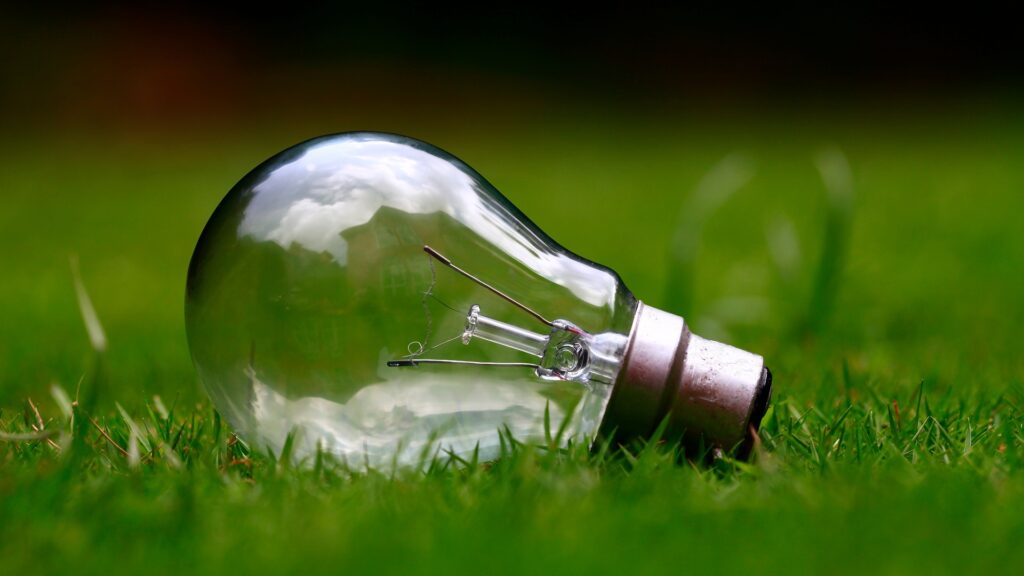 greenpeace