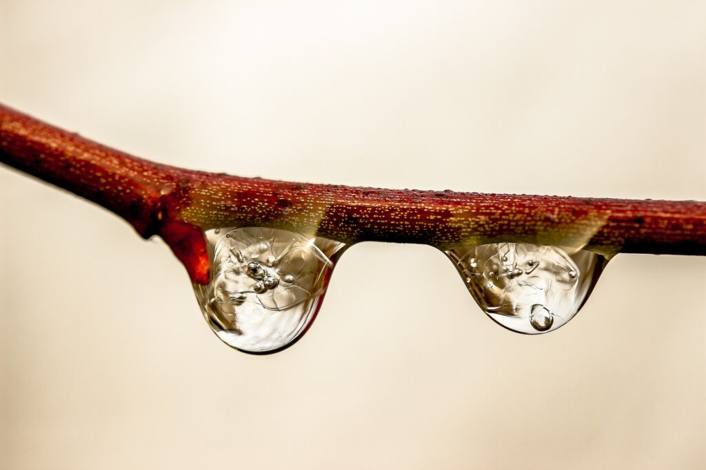agua