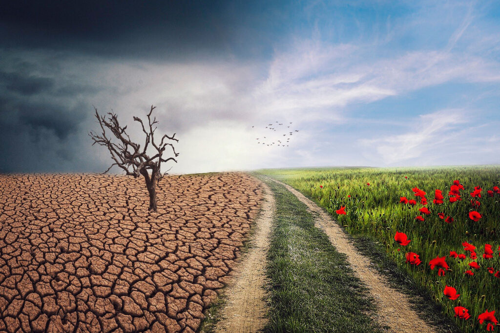 derechos humanos