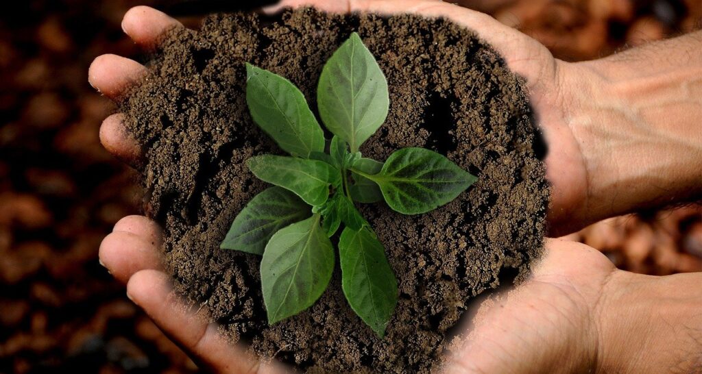 empresas-sustentables