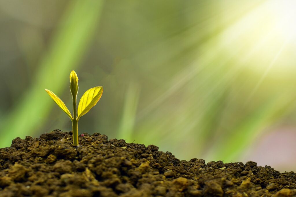 Acciona ESG proveedores