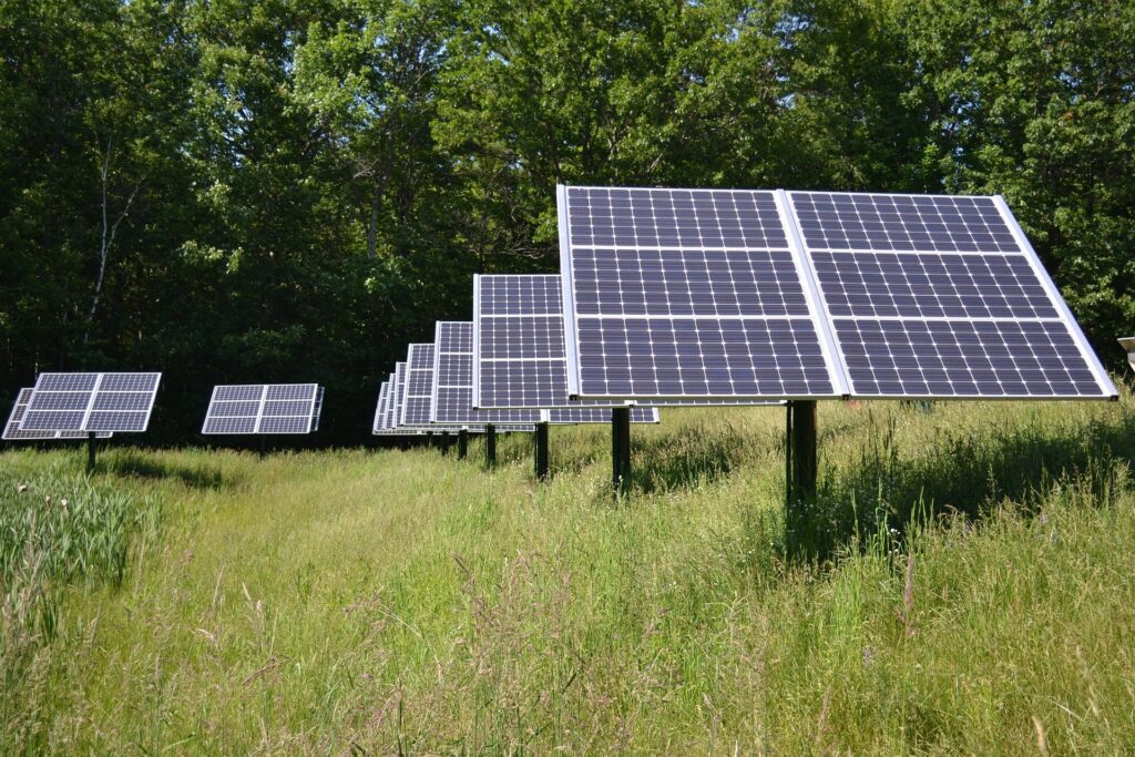 energía limpia startups