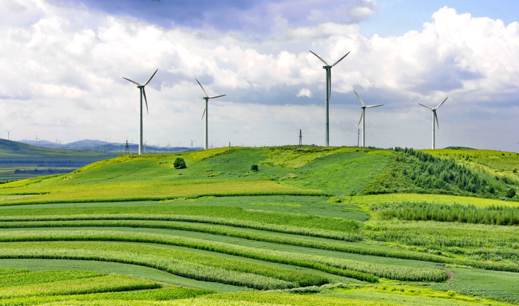 energía eólica G20