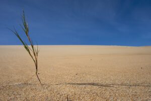 Cambio Climático energía