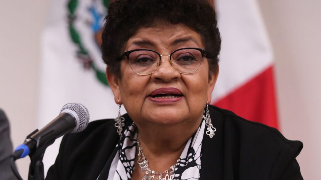 ernestina godoy-diputados