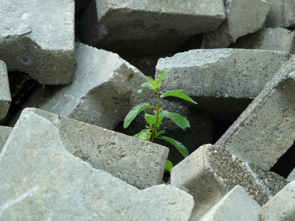 cemento emisiones
