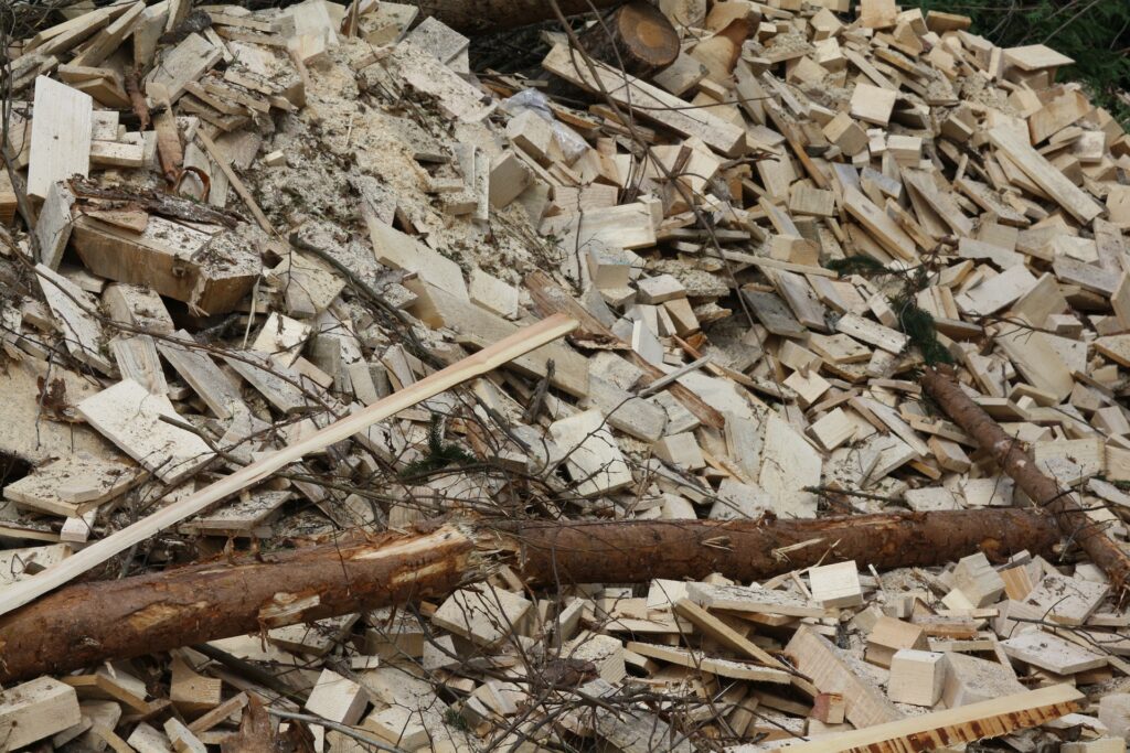 ExxonMobil biocombustible