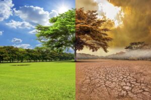 acción climática