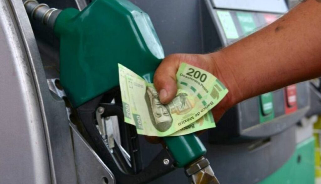 gasolina