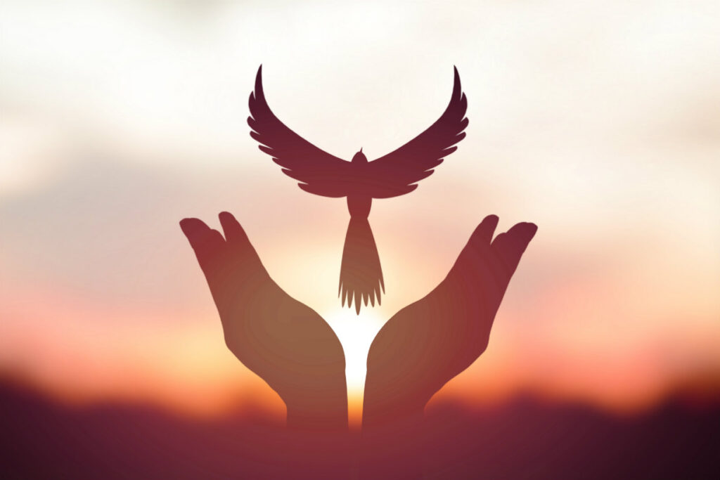 paz