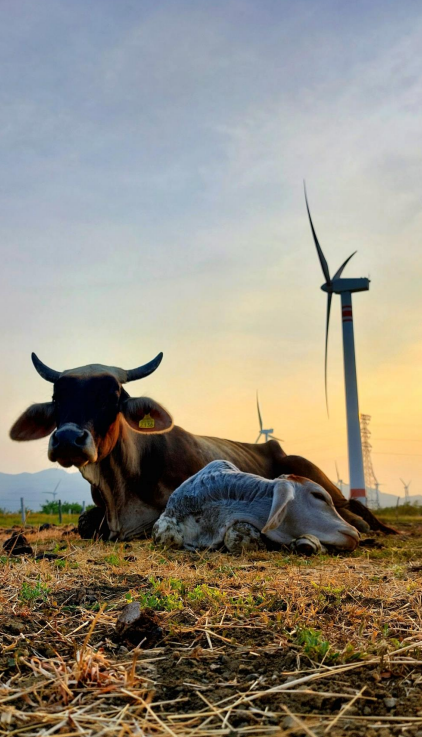Mi vida y el viento 2023