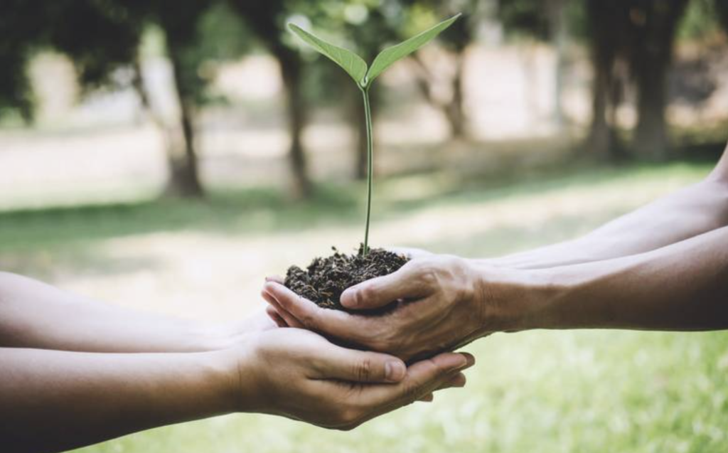 sustentabilidad empresarial
