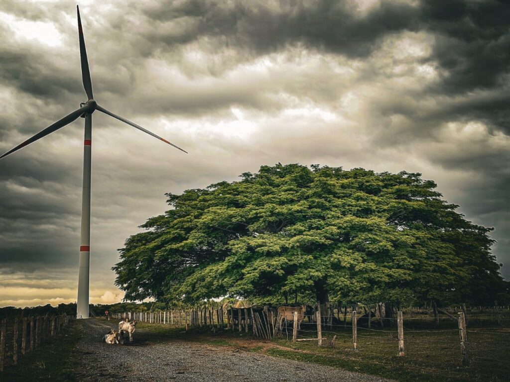 MI VIDA Y EL VIENTO