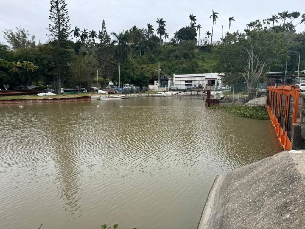Tamaulipas es un reflejo
